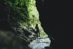 gorges du fier