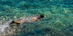 Young,Woman,Snorkeling,In,Transparent,Shallow,Sea.,Young,Woman,Snorkeling