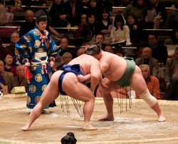 Sumo district and Sumo Museum