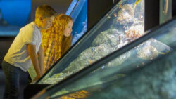 600x338_cross-curricular-normandy-cite-de-la-mer