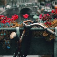 Bridge and bike in Amsterdam