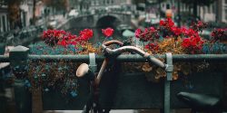 Bridge and bike in Amsterdam