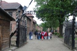 Arbeit macht frei auschwitz