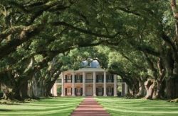 Oak Alley