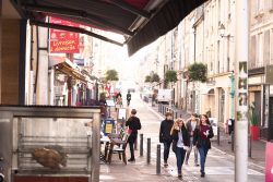 museum art history bayeux