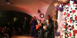 Flamenco Show