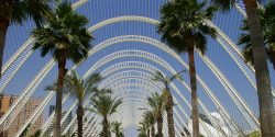 The Umbracle