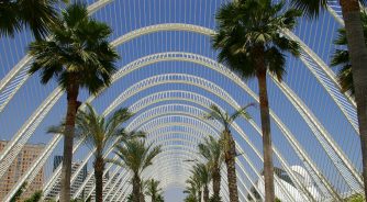 The Umbracle