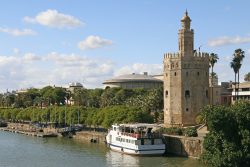 Torre del Oro