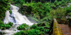 Triberg Waterfall