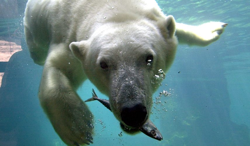 Zoo am Meer ©️ German National Tourist Board