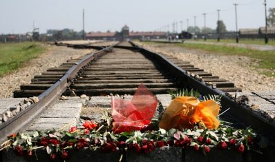 auschwitz-birkenau flowers