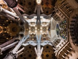 Sagrada Familia ceiling