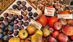 French market assignment