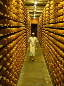 gruyere factory