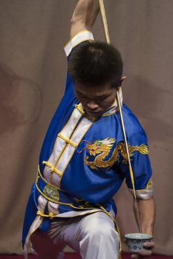 Kung Fu Show