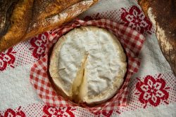 Graindorge Cheese Factory Visit