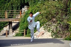 Kung Fu lessons