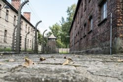 auschwitz