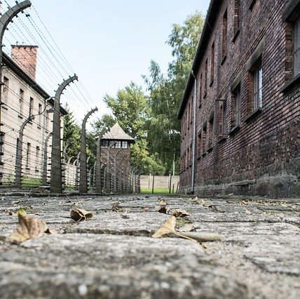 auschwitz