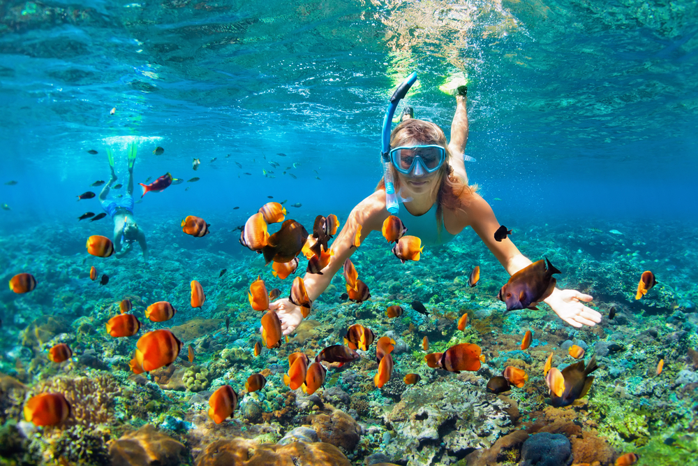 Young woman snorkelling in clear blue waters, surrounding by fish and coral