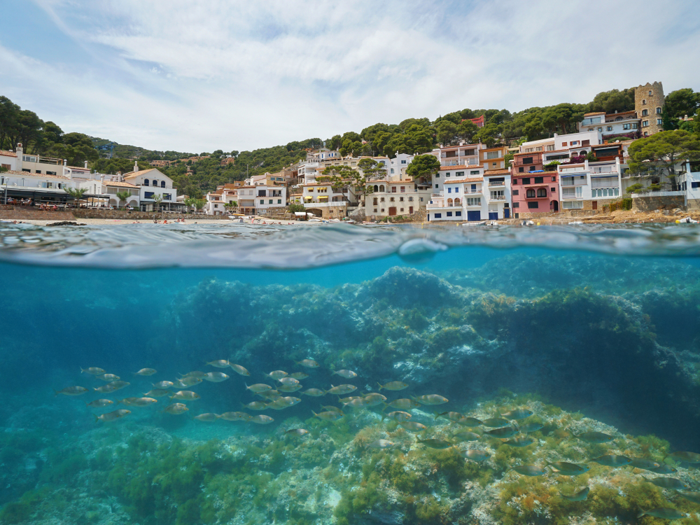 Snorkelling on the Costa Brava in Spain