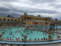 Széchenyi Spa Baths