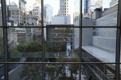 the museum of modern art