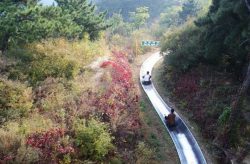 wall of china taboggan
