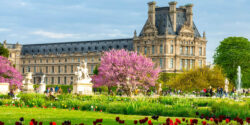 Scene,From,The,Tuileries,Gardens,With,Flowers,In,The,Foreground,
