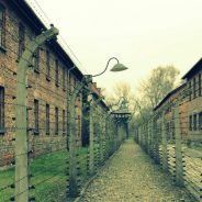 Auschwitz