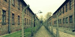 Auschwitz