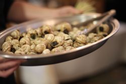 Snails for dinner
