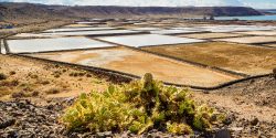 Salt Pans