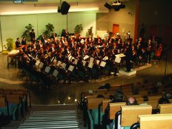 Orchestra