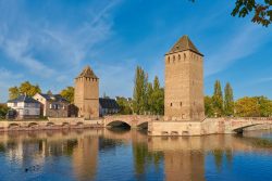 alsace