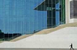 Business Studies in berlin