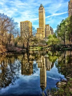 Walking tour of Central Park