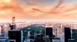 central-park view