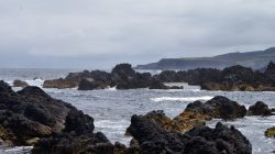 azores rock pools