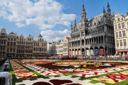 Grand Place Flowers, Brussels