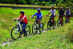 group mountain biking