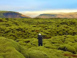 lava field iceland