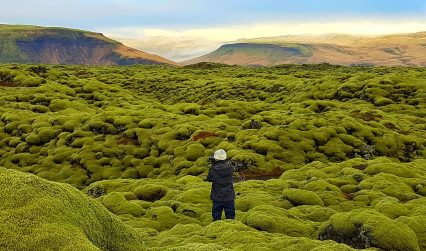 lava field iceland