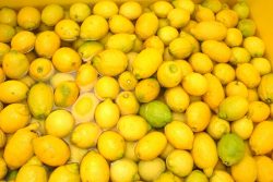 Sorrento Lemons