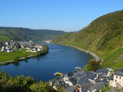 mosel