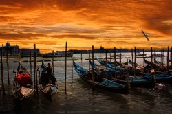 Boats in venice by sunset