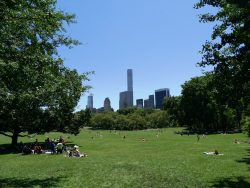 Central Park with city