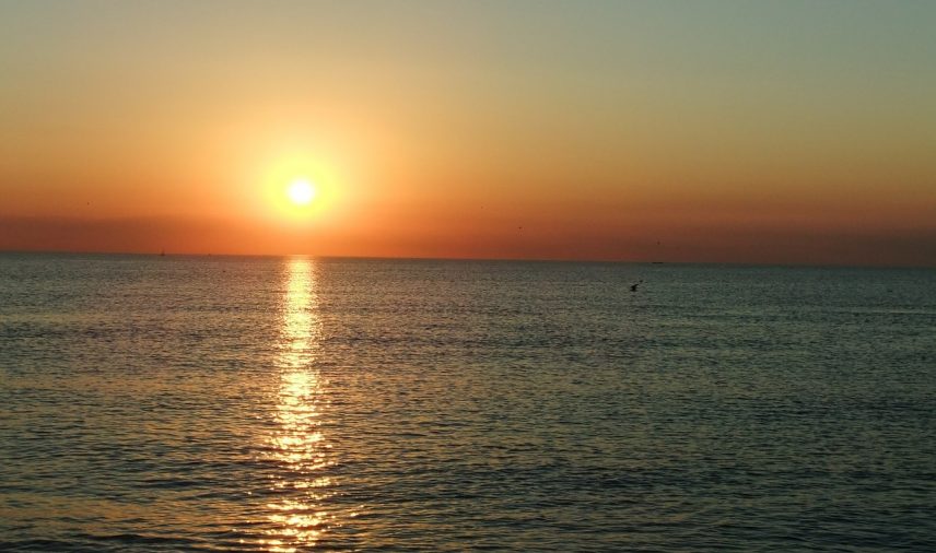 noordwijk-to-see