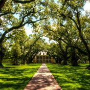 oak-alley-plantation